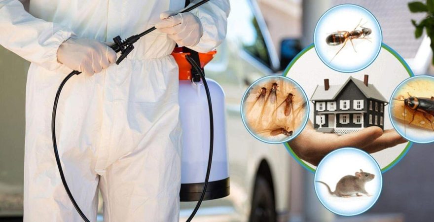 Bayındır Böcek İlaçlama