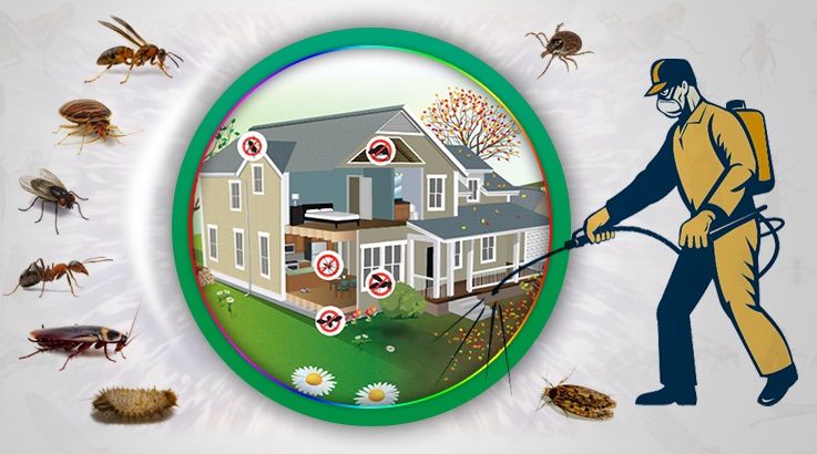 Bayındır Böcek İlaçlama