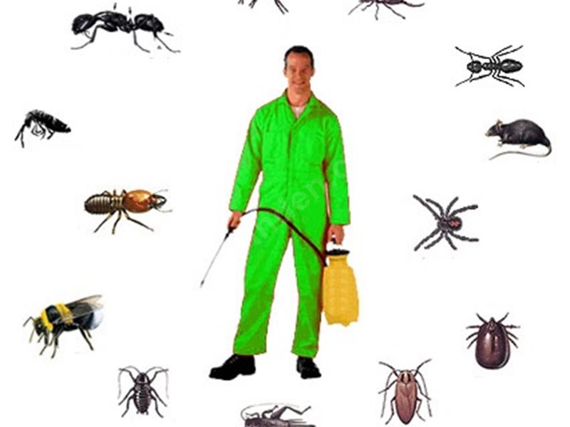 Bayındır Böcek İlaçlama